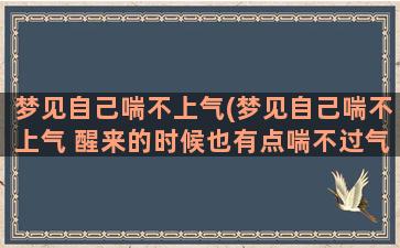 梦见自己喘不上气(梦见自己喘不上气 醒来的时候也有点喘不过气)